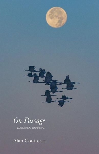 Produktbild: On Passage