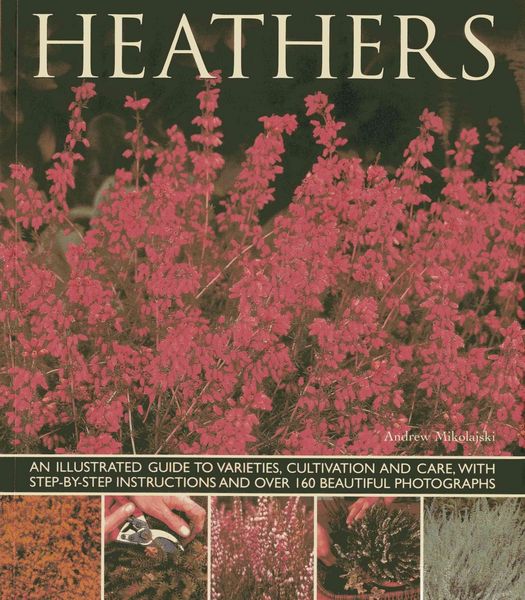 Produktbild: Heathers