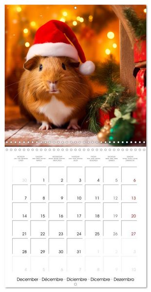 Produktbild: Sweet GUINEA PIGS (Wall Calendar 2026 12 &times; 12 Inch) CALVENDO 12 Month Wall Calendar