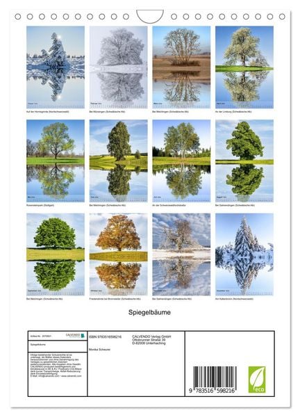 Produktbild: Spiegelb&auml;ume (Wandkalender 2026 DIN A4 hoch), CALVENDO Monatskalender
