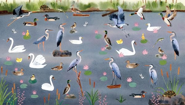 Produktbild: A Bird Lover's Sticker Book