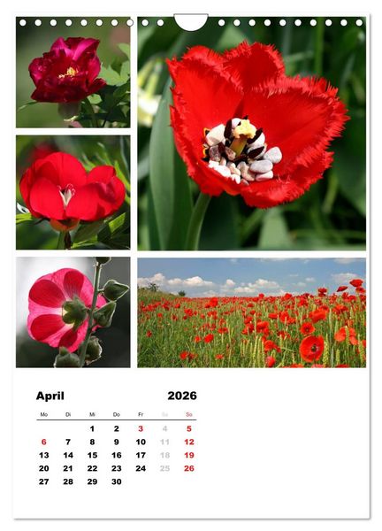 Produktbild: Bl&uuml;ten Collagen (Wandkalender 2026 DIN A4 hoch), CALVENDO Monatskalender