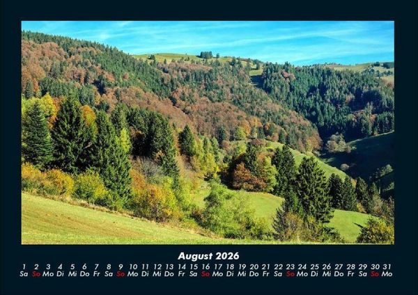 Produktbild: B&auml;ume 2026 Fotokalender DIN A4