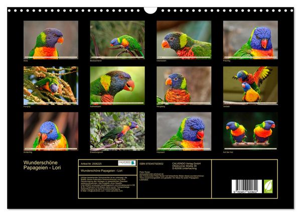 Produktbild: Wundersch&ouml;ne Papageien - Lori (Wandkalender 2026 DIN A3 quer), CALVENDO Monatskalender