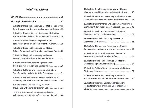 Produktbild: 52 Seelenweg und Krafttier Meditationen
