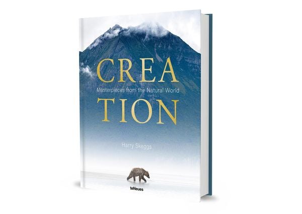 Produktbild: Creation