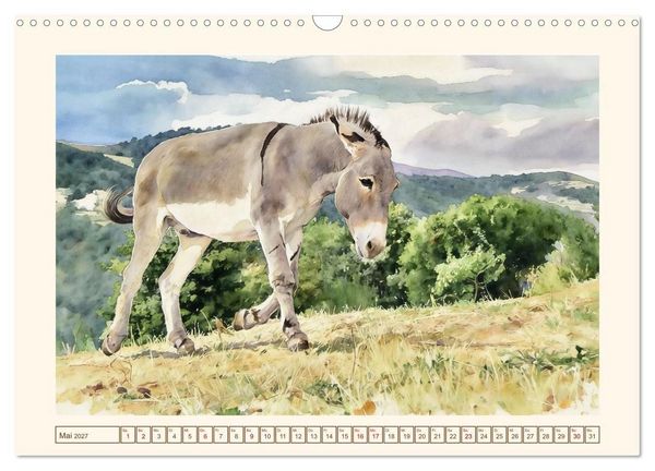 Produktbild: Esel - Treue Begleiter seit &uuml;ber 5000 Jahren (Wandkalender 2027 DIN A3 quer), CALVENDO Monatskalender