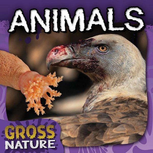Produktbild: Animals