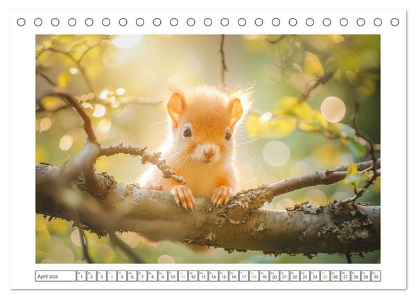 Produktbild: Lustige Eichh&ouml;rnchen (Tischkalender 2026 DIN A5 quer), CALVENDO Monatskalender