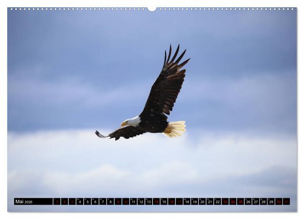 Produktbild: Auf den Spuren der Indianer - Unterwegs in Nordamerika (Wandkalender 2026 DIN A2 quer), CALVENDO Monatskalender