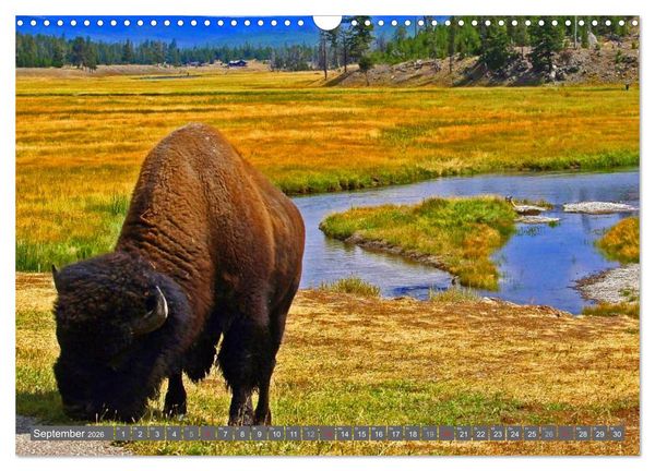 Produktbild: Wyoming &bull; Impressionen (Wandkalender 2026 DIN A3 quer), CALVENDO Monatskalender