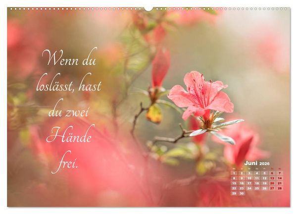 Produktbild: Chinesische Weisheiten (Wandkalender 2026 DIN A2 quer), CALVENDO Monatskalender