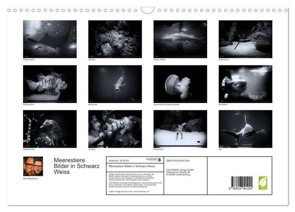 Produktbild: Meerestiere Bilder in Schwarz Weiss (Wandkalender 2026 DIN A3 quer), CALVENDO Monatskalender