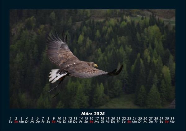 Produktbild: Adler 2025 Fotokalender DIN A4