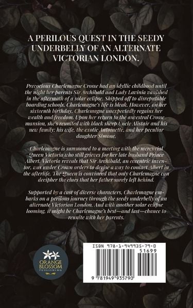 Produktbild: The Curious Conundrum of Charlemagne Crosse