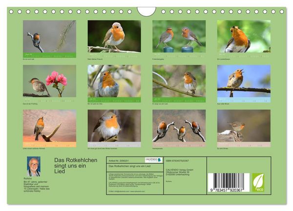 Produktbild: Das Rotkehlchen singt uns ein Lied (Wandkalender 2026 DIN A4 quer), CALVENDO Monatskalender