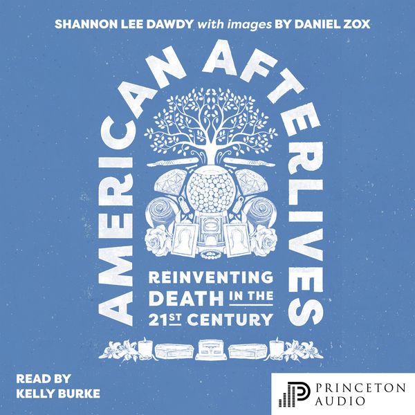 Produktbild: American Afterlives
