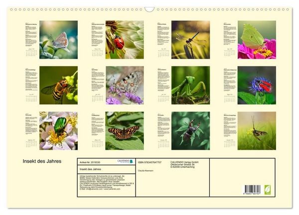 Produktbild: Insekt des Jahres (Wandkalender 2026 DIN A2 quer), CALVENDO Monatskalender