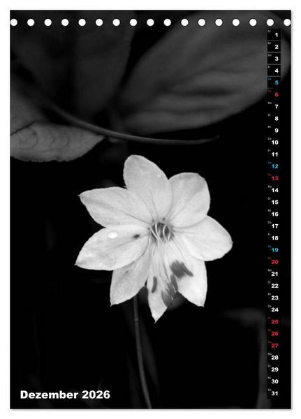 Produktbild: Blumige Graustufen - Schwarz und Wei&szlig; (Tischkalender 2026 DIN A5 hoch), CALVENDO Monatskalender