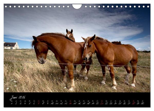 Produktbild: Frankreich Bretagne (Wandkalender 2026 DIN A4 quer), CALVENDO Monatskalender