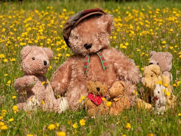 Produktbild: CALVENDO Puzzle Familienausflug | 1000 Teile Lege-Gr&ouml;&szlig;e 64x48cm Foto-Puzzle f&uuml;r gl&uuml;ckliche Stunden
