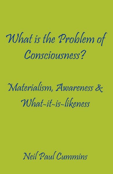 Produktbild: What is the Problem of Consciousness?