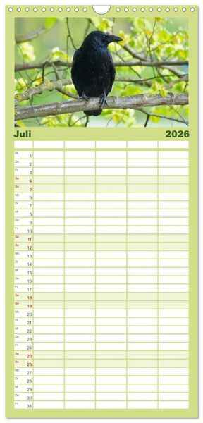Produktbild: Familienplaner 2026 - Das Leben der Rabenv&ouml;gel mit 5 Spalten (Wandkalender, 21 x 45 cm) CALVENDO