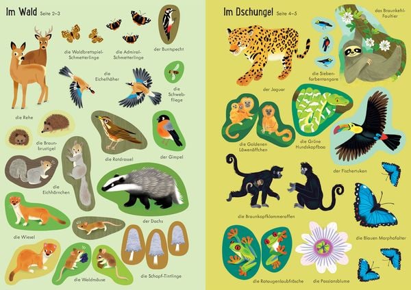Produktbild: Mein Immer-wieder-Stickerbuch: Tiere der Welt