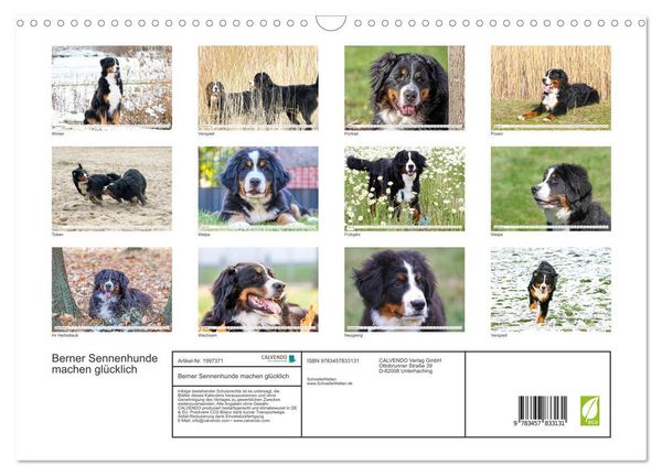 Produktbild: Berner Sennenhunde machen gl&uuml;cklich (Wandkalender 2026 DIN A3 quer), CALVENDO Monatskalender