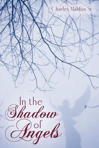 Produktbild: In the Shadow of Angels