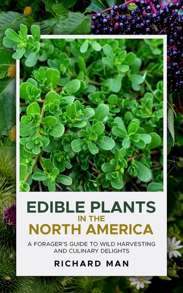 Produktbild: Edible Plants of North America
