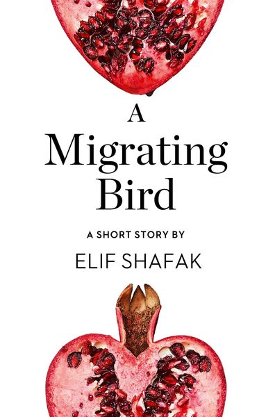 Produktbild: A Migrating Bird