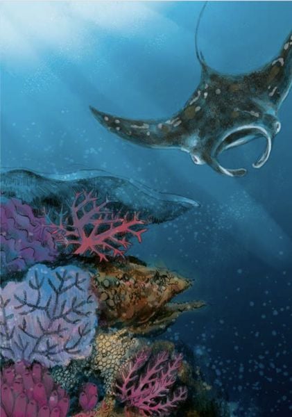 Produktbild: Wunderwelt der Tiere im Meer - Gelesen von Jakob Graf