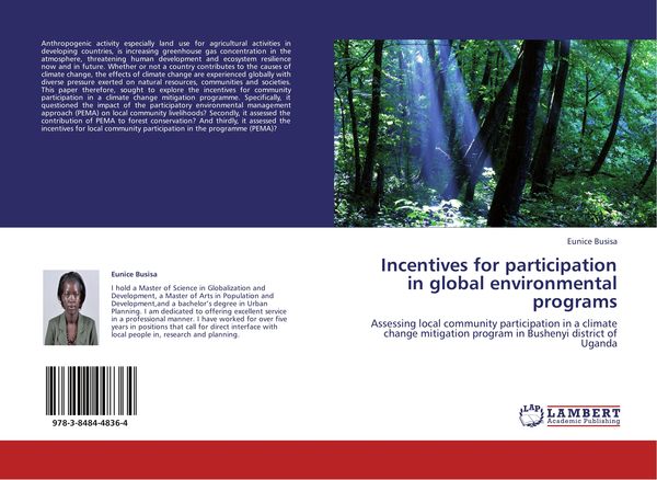 Produktbild: Incentives for participation in global environmental programs