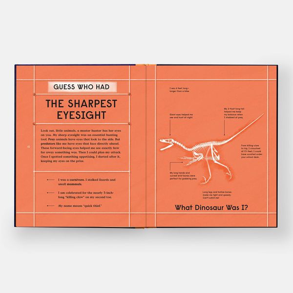 Produktbild: Book of Dinosaurs