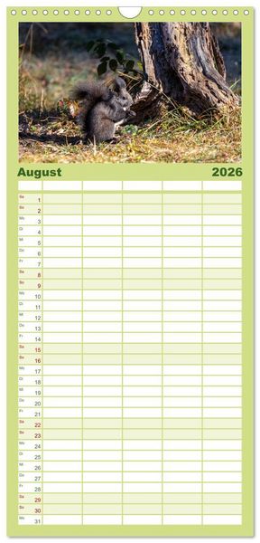 Produktbild: Familienplaner 2026 - Eichh&ouml;rnchenliebe mit 5 Spalten (Wandkalender, 21 x 45 cm) CALVENDO