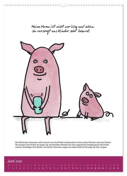 Produktbild: Schweinekalender - Alles was du &uuml;ber Schweine wissen wolltest! (hochwertiger Premium Wandkalender 2026 DIN A2 hoch), Kunstdruck in Hochglanz