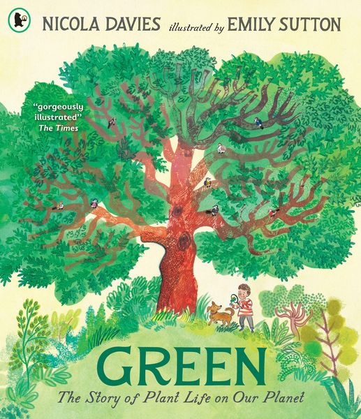 Produktbild: Green: The Story of Plant Life on Our Planet