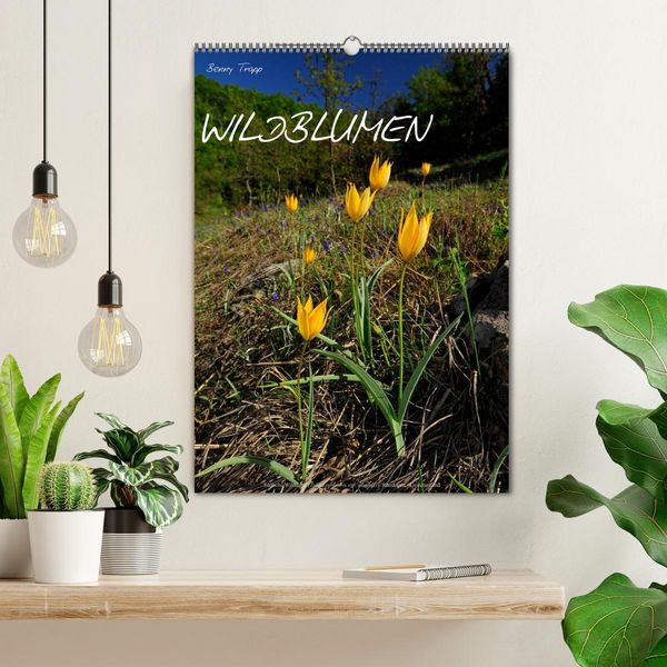 Produktbild: WILDBLUMEN (Wandkalender 2026 DIN A2 hoch), CALVENDO Monatskalender