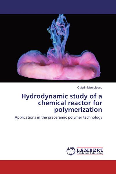Produktbild: Hydrodynamic study of a chemical reactor for polymerization