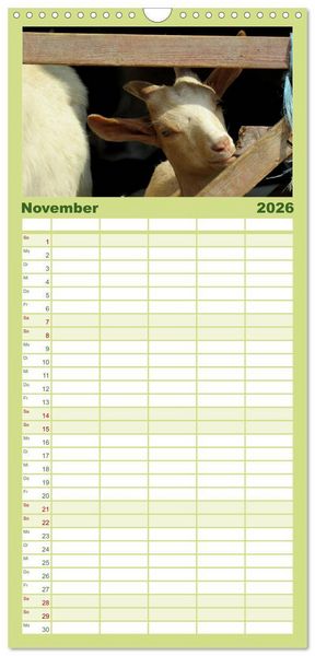 Produktbild: Familienplaner 2026 - Wer zickt denn da? Mit Ziegen durchs Jahr mit 5 Spalten (Wandkalender, 21 x 45 cm) CALVENDO