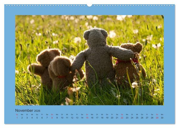 Produktbild: Teddys Meine Freunde (Wandkalender 2026 DIN A2 quer), CALVENDO Monatskalender
