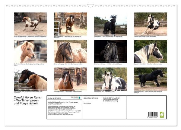 Produktbild: Colorful Horse Ranch &ndash; Wo Tinker posen und Ponys l&auml;cheln (Wandkalender 2026 DIN A2 quer), CALVENDO Monatskalender