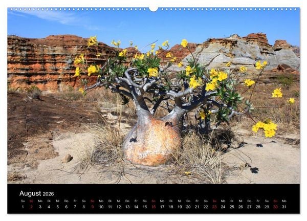 Produktbild: Abenteuer Madagaskar (hochwertiger Premium Wandkalender 2026 DIN A2 quer), Kunstdruck in Hochglanz