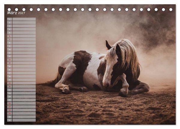 Produktbild: Pferde - Spiegel deiner Seele (Tischkalender 2027 DIN A5 quer), CALVENDO Monatskalender