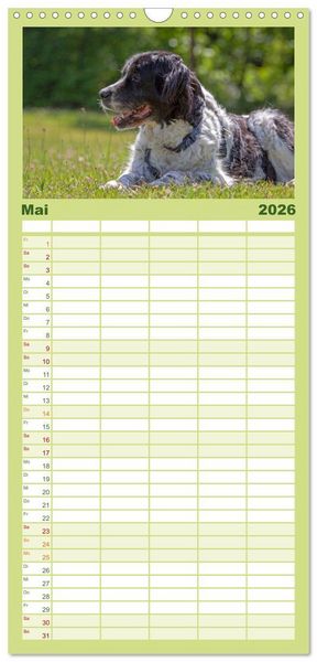 Produktbild: Familienplaner 2026 - Hunde - Beste Freunde der Menschen mit 5 Spalten (Wandkalender, 21 x 45 cm) CALVENDO
