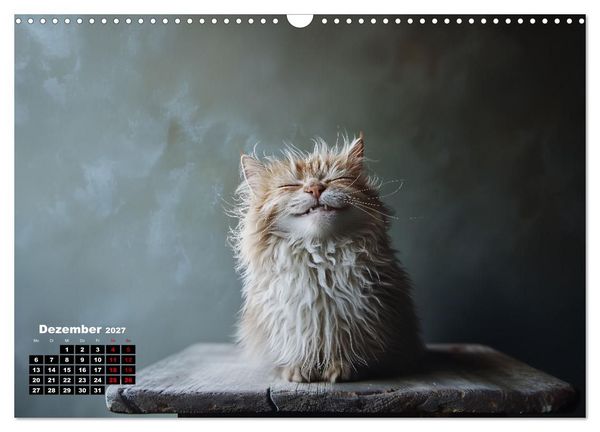 Produktbild: Auch Katzen lachen gern (Wandkalender 2027 DIN A3 quer), CALVENDO Monatskalender