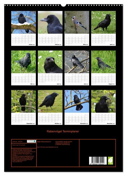Produktbild: Rabenv&ouml;gel Terminplaner (hochwertiger Premium Wandkalender 2026 DIN A2 hoch), Kunstdruck in Hochglanz