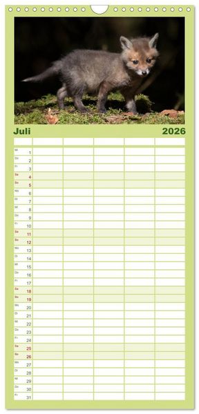 Produktbild: Familienplaner 2026 - Bei den Jungf&uuml;chsen mit 5 Spalten (Wandkalender, 21 x 45 cm) CALVENDO