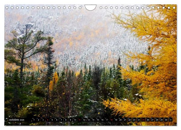 Produktbild: GASP&Eacute;SIE. Parc National du Qu&eacute;bec (Calendrier mural 2026 DIN A4 vertical), CALVENDO calendrier mensuel